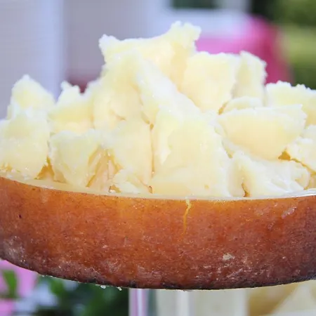 Hotel Garden Cattolica